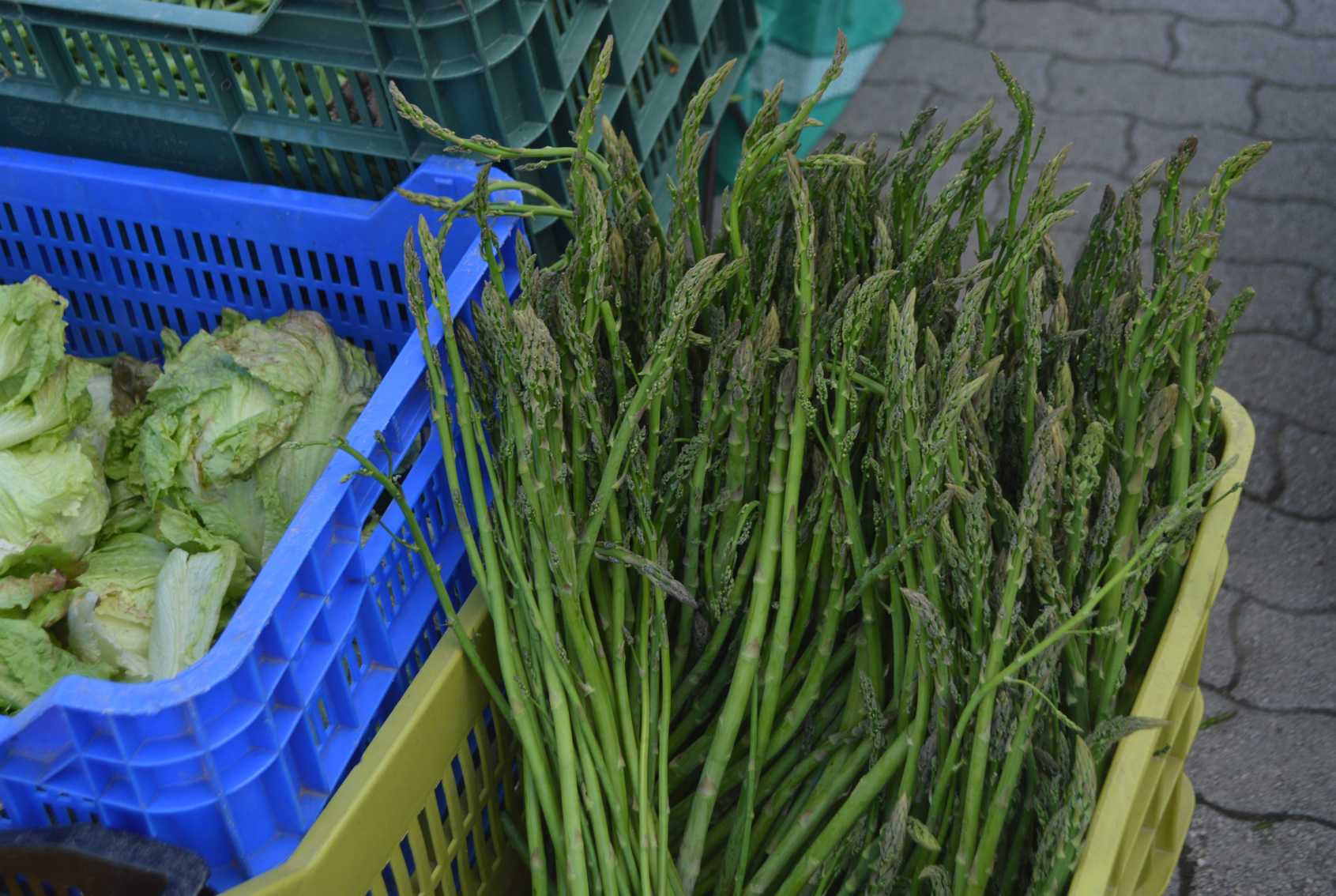 Il mercatino biologico di Piazza Tor San Michele a Ostia